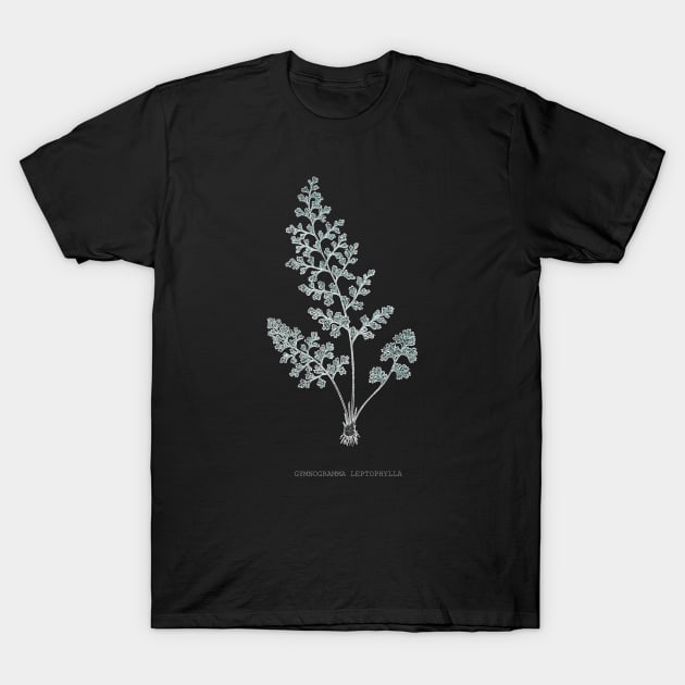 Fern - Gymnogramma Leptophylla - X-ray effect - 04 T-Shirt by SPJE Illustration Photography